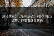 黑马线索：七乐彩点破：别只盯临场调整，还要看球员状态