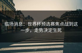 临场消息：世界杯预选赛焦点战到这一步，走势决定生死