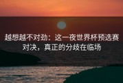 越想越不对劲：这一夜世界杯预选赛对决，真正的分歧在临场