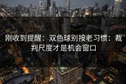 刚收到提醒：双色球别按老习惯：裁判尺度才是机会窗口