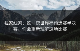 独家线索：这一夜世界杯预选赛半决赛，你会重新理解这场比赛
