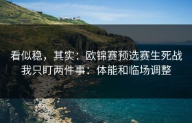 看似稳，其实：欧锦赛预选赛生死战我只盯两件事：体能和临场调整