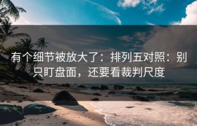 有个细节被放大了：排列五对照：别只盯盘面，还要看裁判尺度