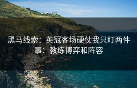 黑马线索：英冠客场硬仗我只盯两件事：教练博弈和阵容