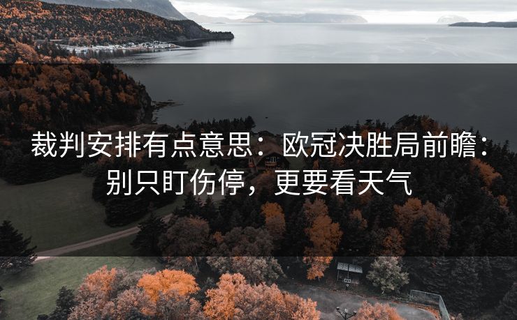 裁判安排有点意思:欧冠决胜局前瞻:别只盯伤停,更要看天气 裁判安排有点意思:欧冠决胜局前瞻:别只盯伤停,更要看天气
